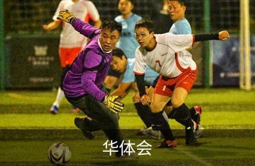 走进华体会